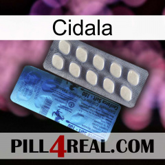 Cidala 34